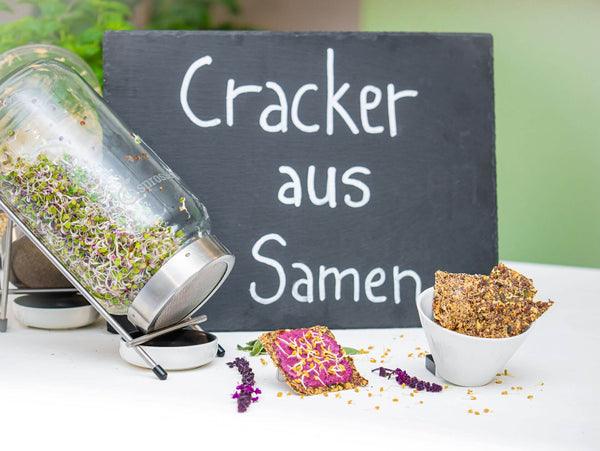 Cracker aus Samen gebacken, Rezept mit Hanfsamen, Chia Samen und Leinsamen
