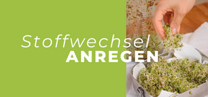 Stoffwechsel anregen durch Alltag & Ernährung