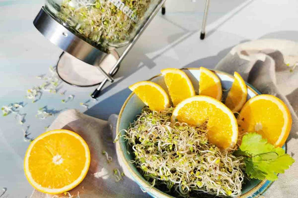 Starterpaket mit System