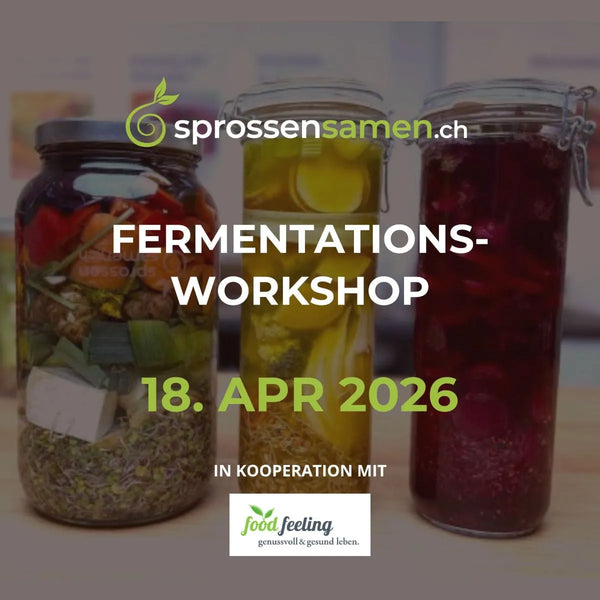 Fermentation-Workshop-18-Apr-2026