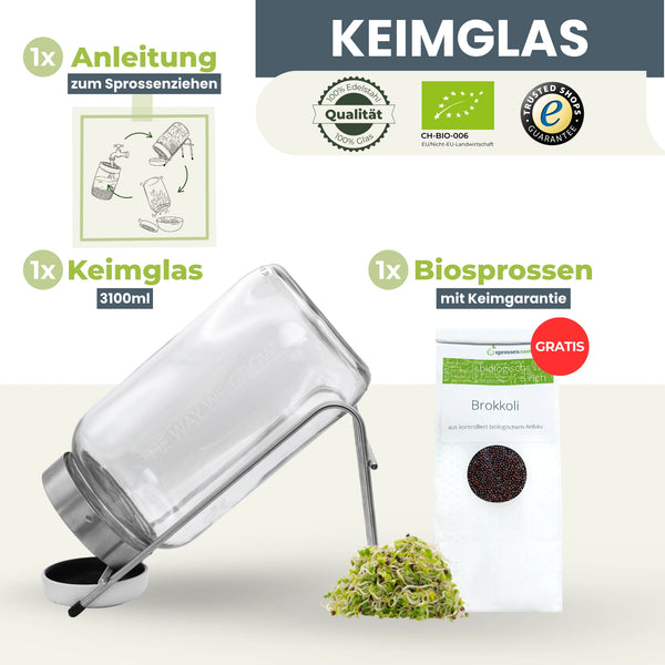 Keimglas Biosprosser 3100ml aus Glas mit Ständer