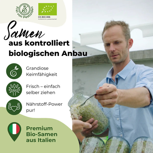 Germes de graines d'oignon/poireau biologiques