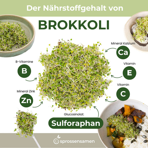 Brokkoli Sprossen Bio 250g