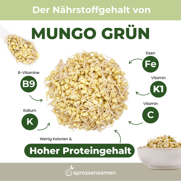 Germes de haricots mungo verts biologiques 500 g