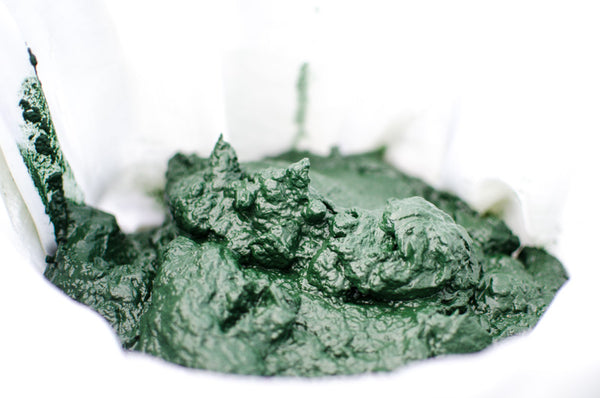 Spirulina-frische-Masse-Paste
