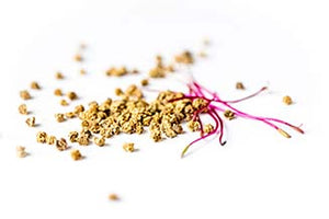 Sprossen-Rote_Beete-_Randen