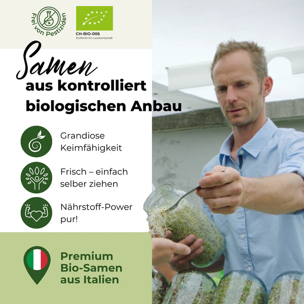 Germes de haricots mungo verts biologiques 500 g