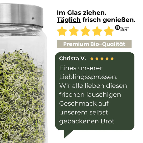 Germes de graines d'oignon/poireau biologiques