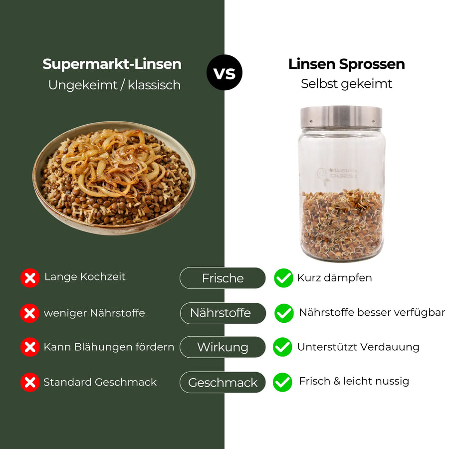 Graines germées de lentilles de montagne biologiques 500 g