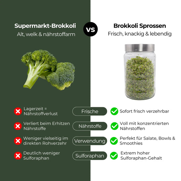 Brokkoli Sprossen Bio 250g