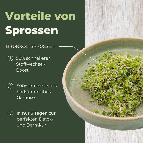 Brokkoli Sprossen Bio 250g