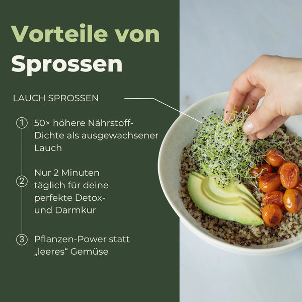 Germes de graines d'oignon/poireau biologiques