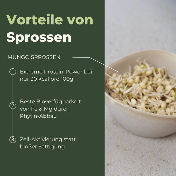 Germes de haricots mungo verts biologiques 500 g