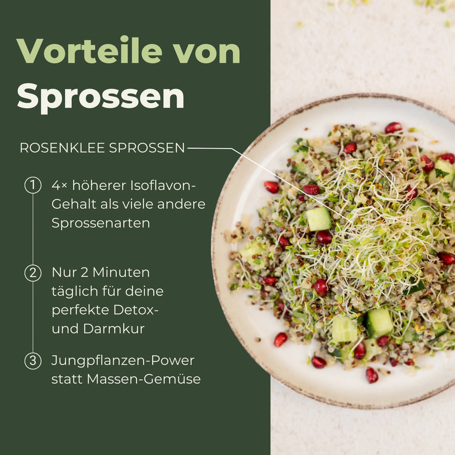 Germes de trèfle rose bio 250 g