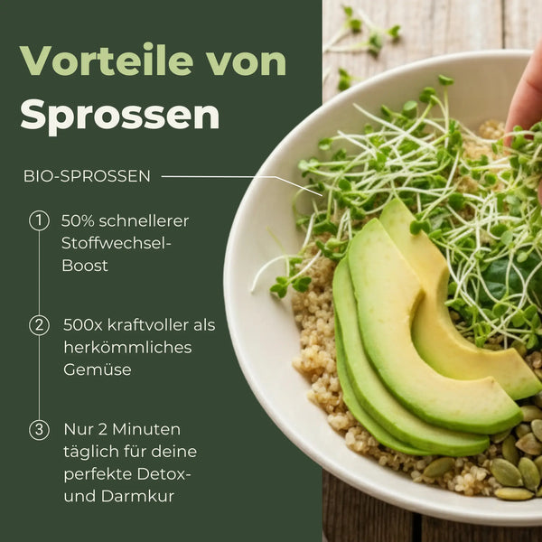 Keimglas Biosprosser 1700ml aus Glas mit Ständer