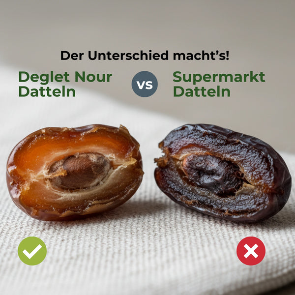 Deglet Nour Datteln 5 kg aus dem Tolga-Tal