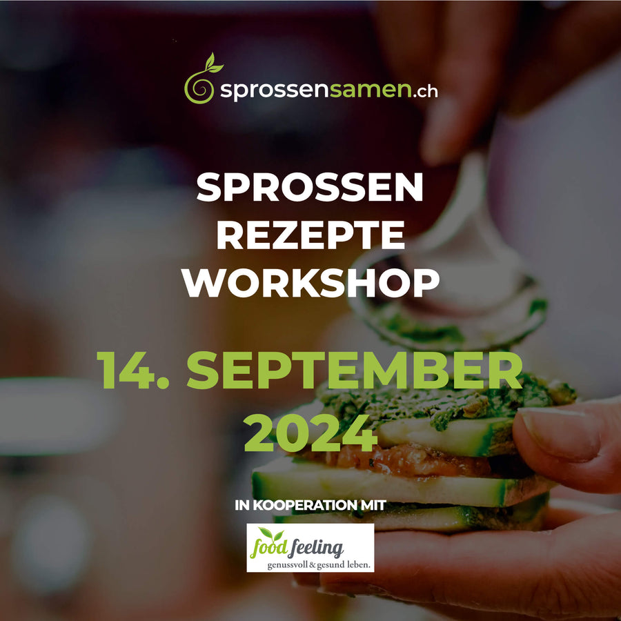 soyana-workshop_14-09-24