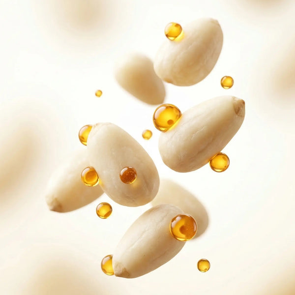 Bio Zedernüsse aus Russland 200g – wildgesammelt | Rohkostqualität