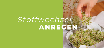 Stoffwechsel anregen durch Alltag & Ernährung