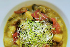 Pikantes Curry mit Lauch Sprossen