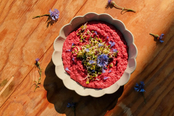 Kichererbsen Sprossen Rezept mit Rote Beete Hummus