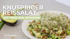 Crispy Rice Salat mit Alfalfa Sprossen und Mungbohnen Sprossen