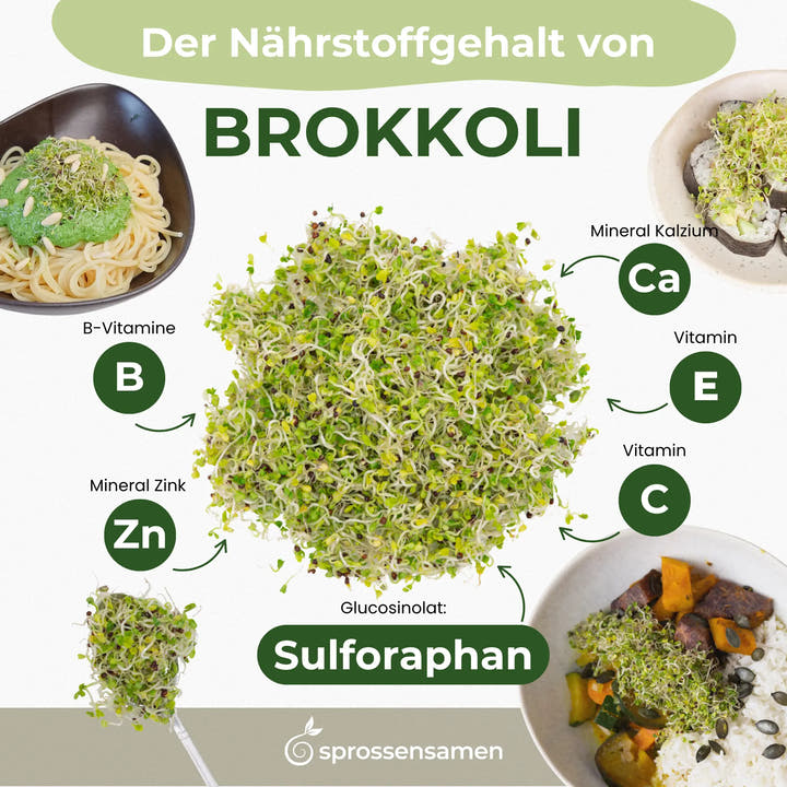 Deine natürliche Entgiftungsunterstützung bei Fettleber: Bio-Brokkoli-Sprossensamen