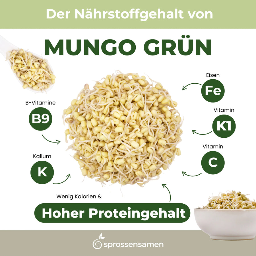 Mungbohnen grün Bio Samensprossen 500g