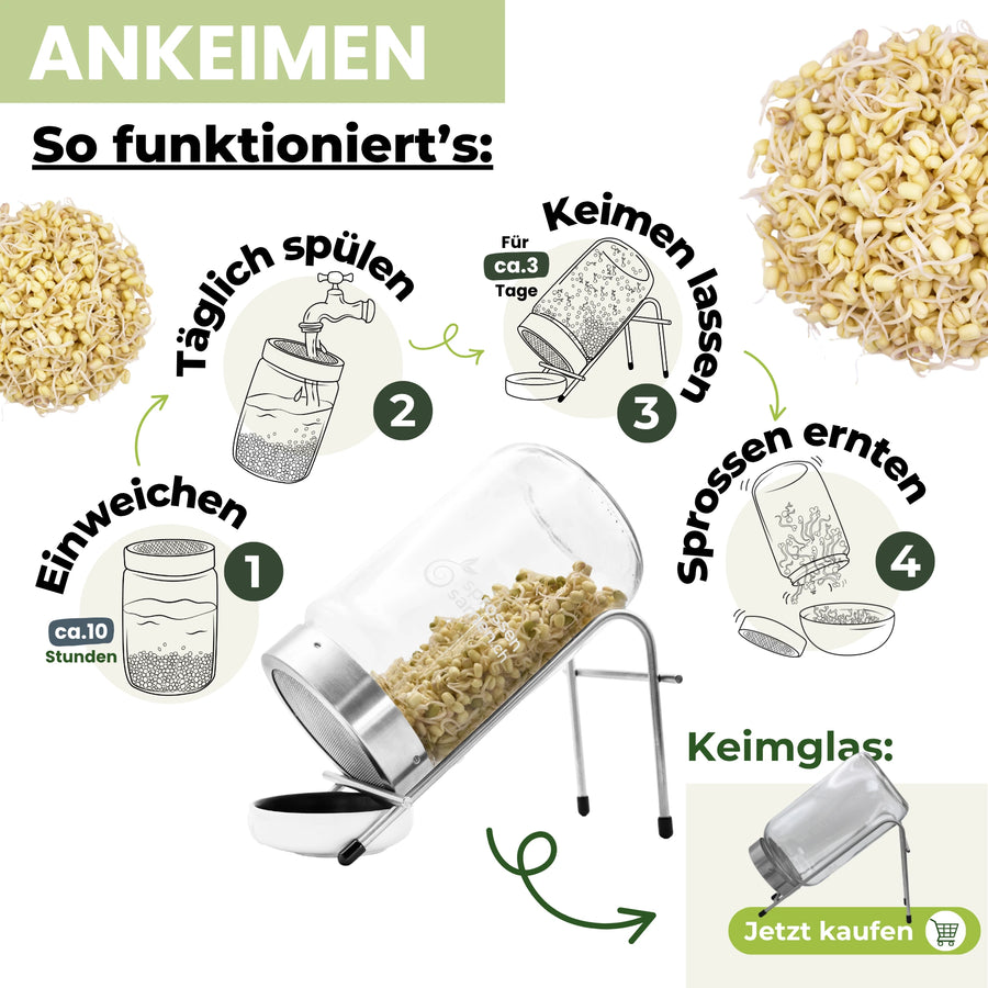 Mungbohnen grün Bio Samensprossen 500g