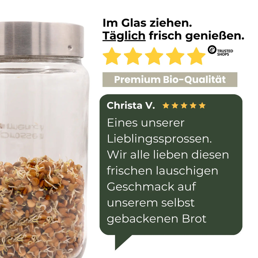 Graines germées de lentilles de montagne biologiques 500 g
