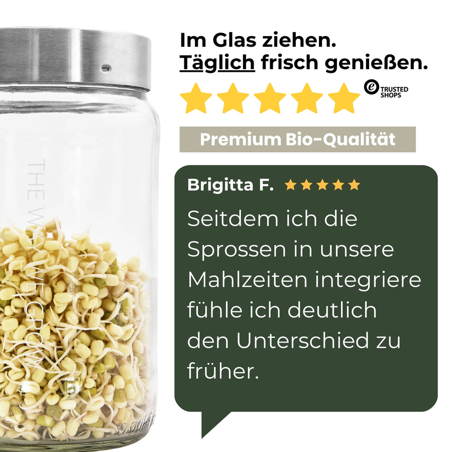 Mungbohnen grün Bio Samensprossen 500g