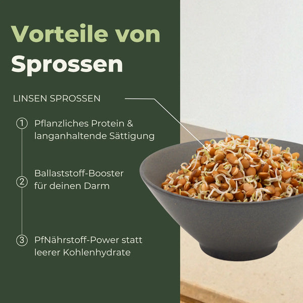 Graines germées de lentilles de montagne biologiques 500 g