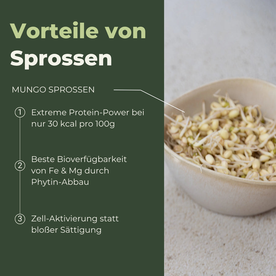 Mungbohnen grün Bio Samensprossen 500g