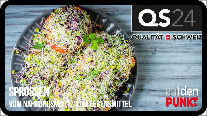 Essen Sie Nahrungsmittel oder Lebensmittel?