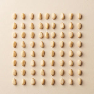 Produktinformationen